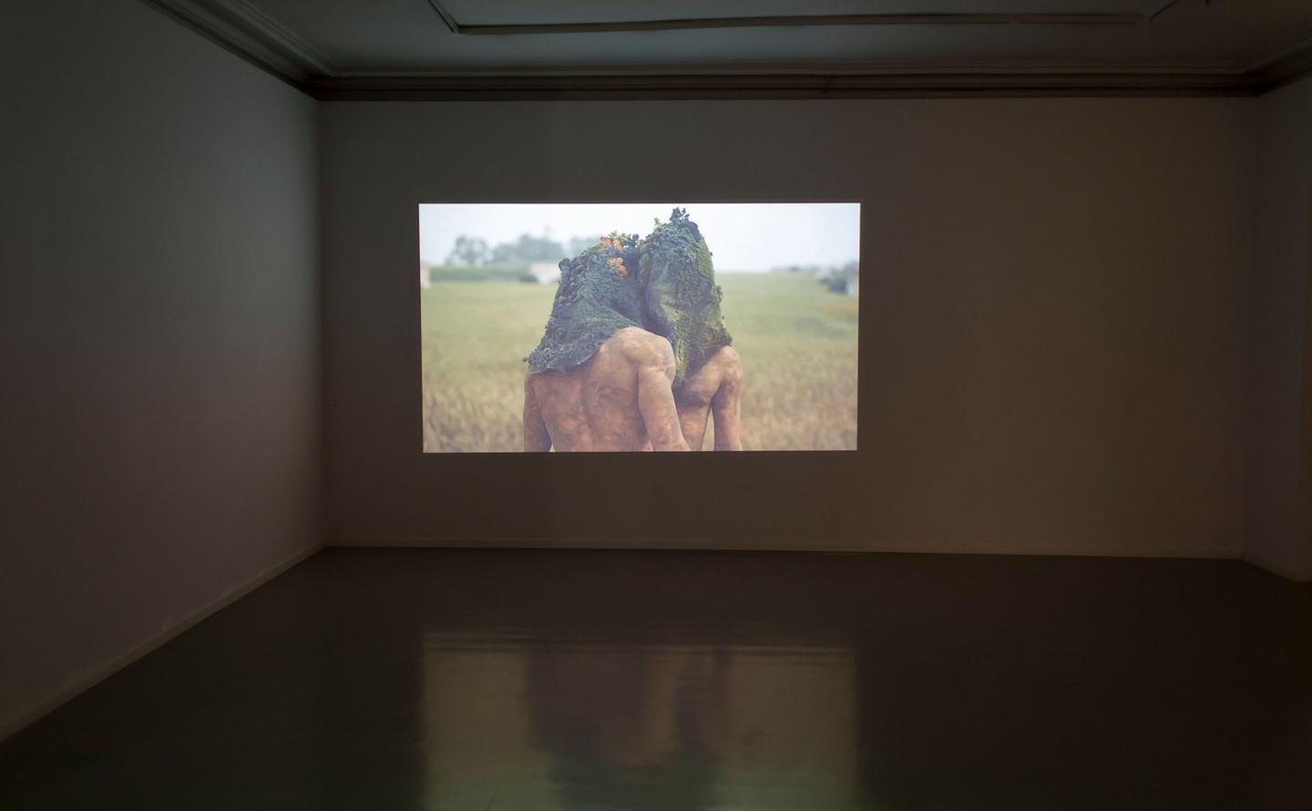 Dafna Shalom, Fearful Days, 2012