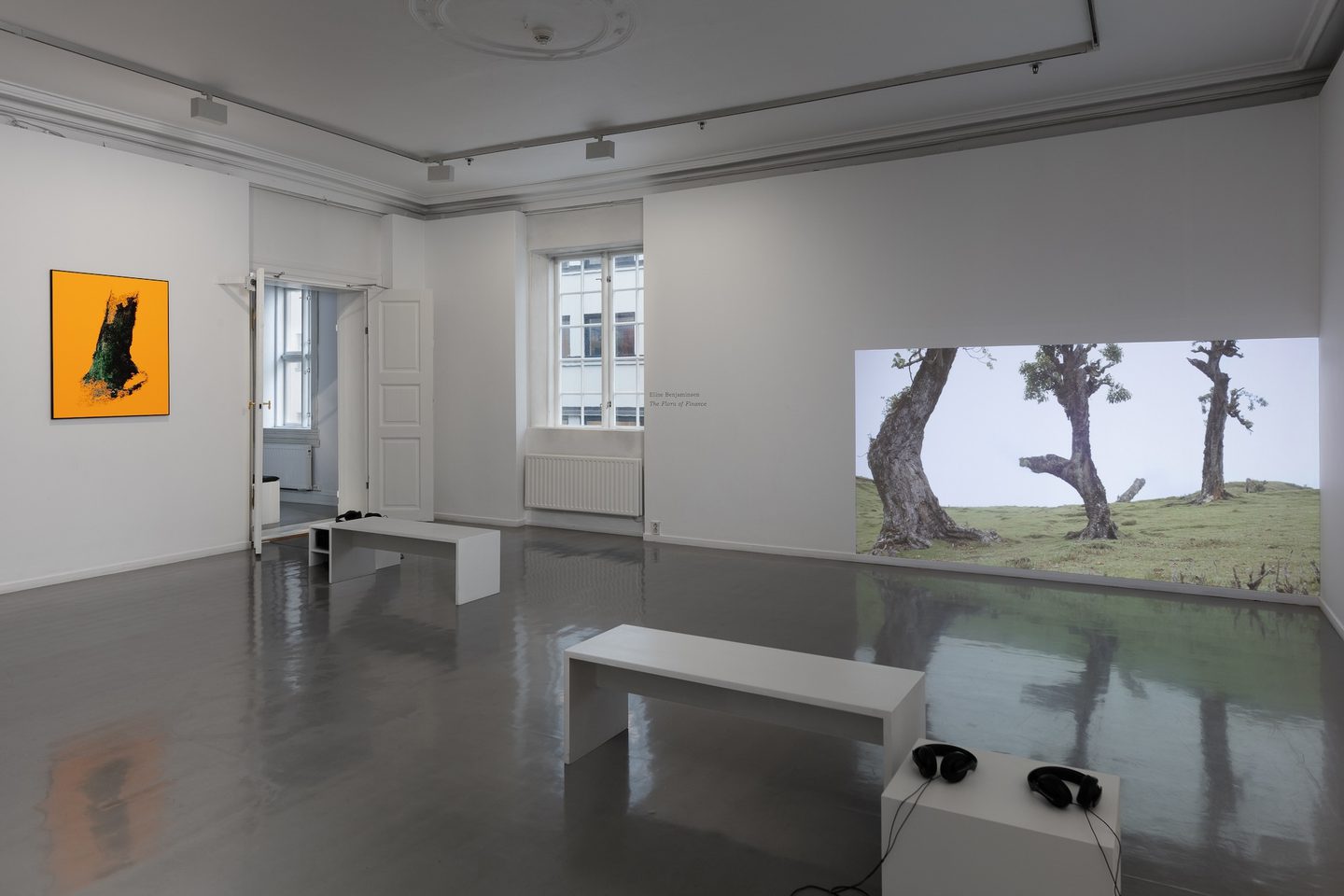 Eline Benjaminsen, The Flora of Finance, 2024