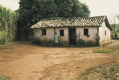 Book & Hedén, O Campo / The Field, 2005