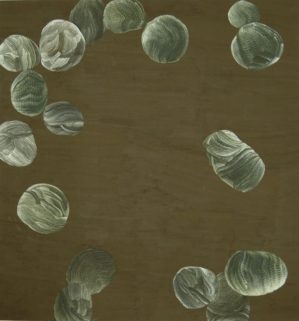 Line Bergseth, Fraktaler 1, 2005