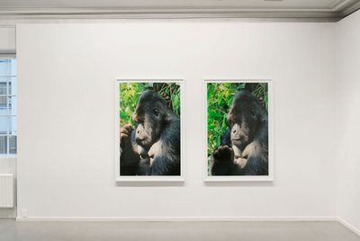 Sandra Mujinga, Real Friends, 2016