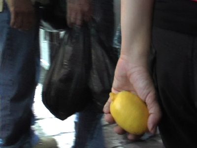 Jumana Emil Abboud, Smuggling Lemons, 2011