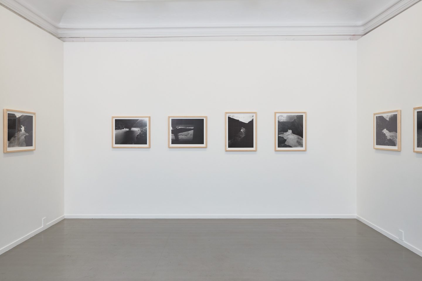Camera Rosten (2017)