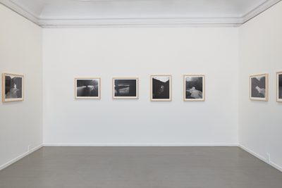 Camera Rosten (2017)