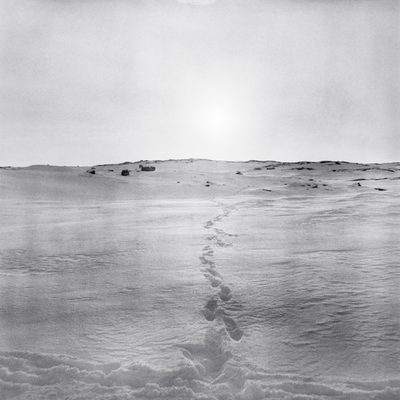 Kvitedagene / Blankt alfabet (1990)