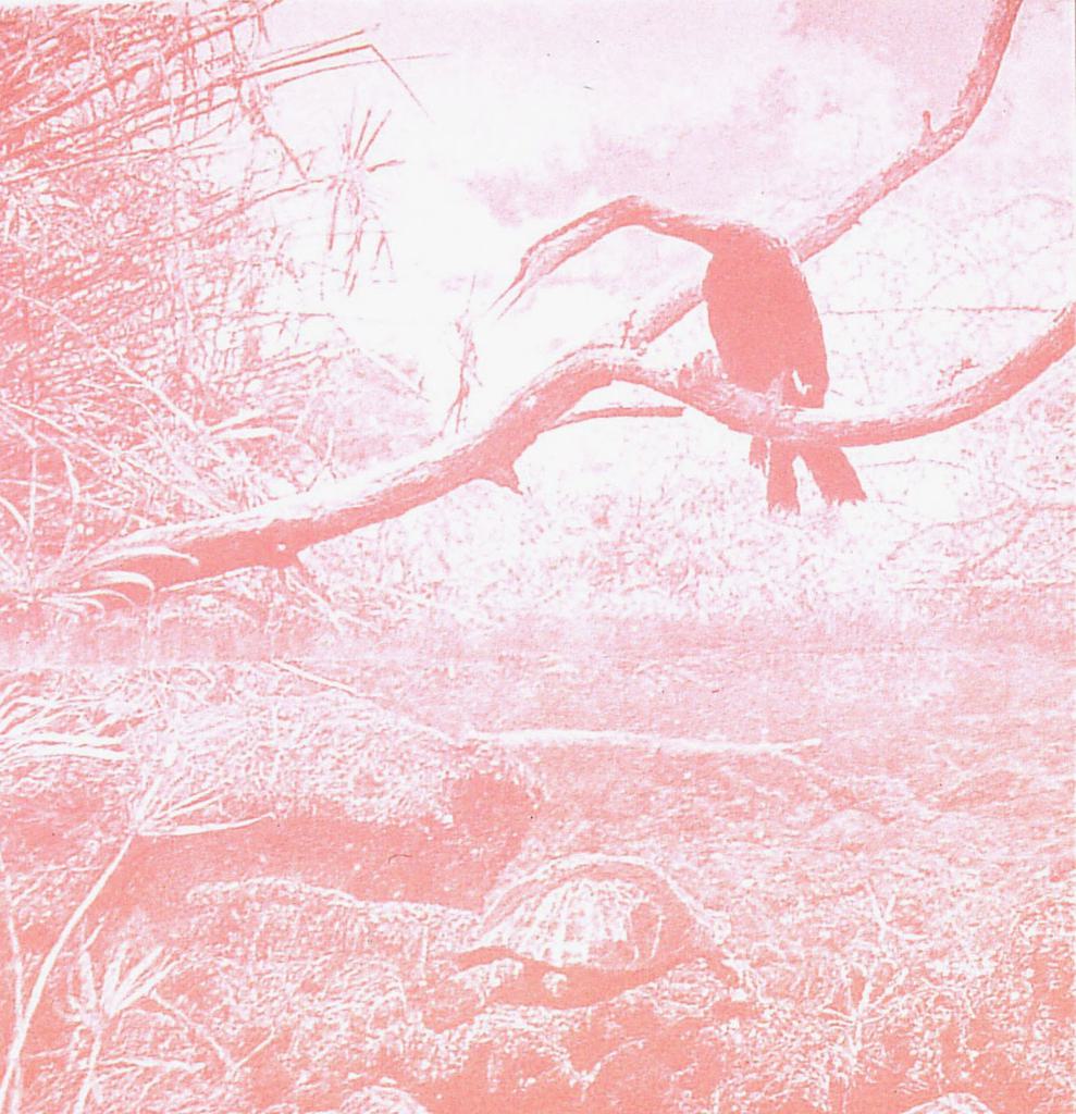 Anders Roås Stueland, Perception Mythique, 2005