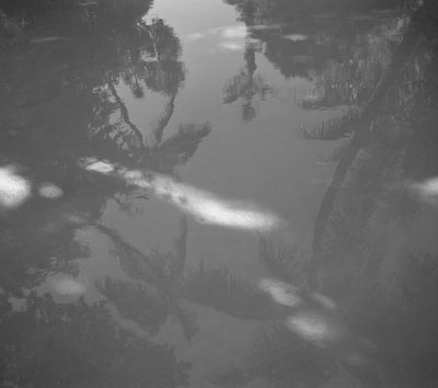 Heli Rekula – In Hemingway's Garden