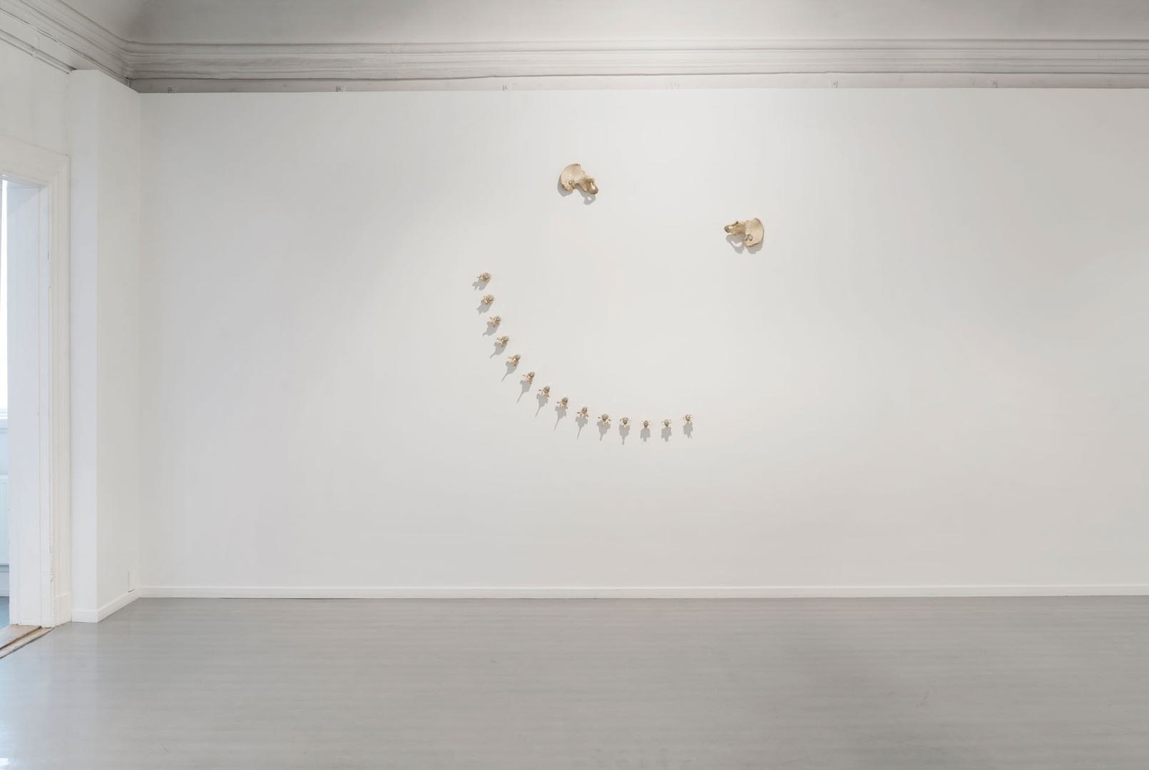 Magnus Wallin, Seven Monochromes and a Smiley, 2016