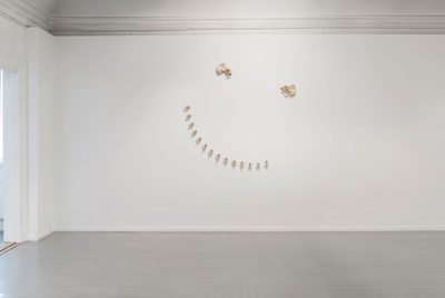 Magnus Wallin, Seven Monochromes and a Smiley, 2016