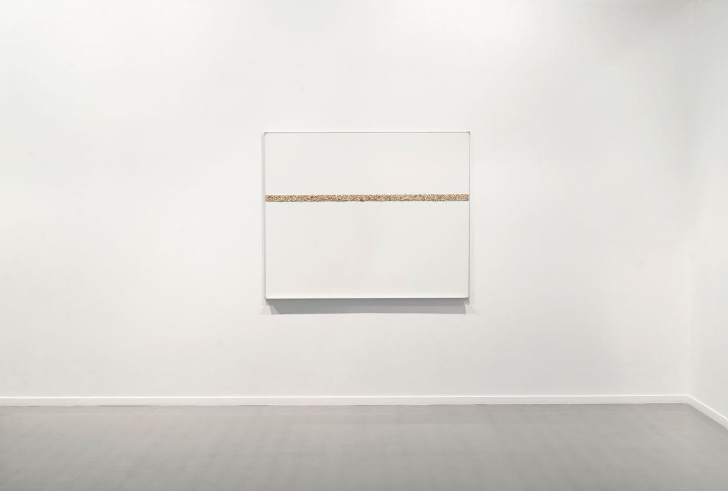 Magnus Wallin, Seven Monochromes and a Smiley, 2016