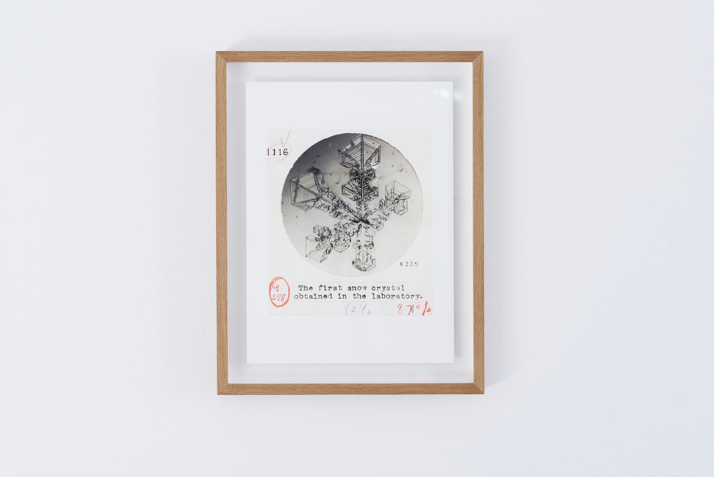 Ukichiro Nakaya, Letters Sent from Heaven, 2017