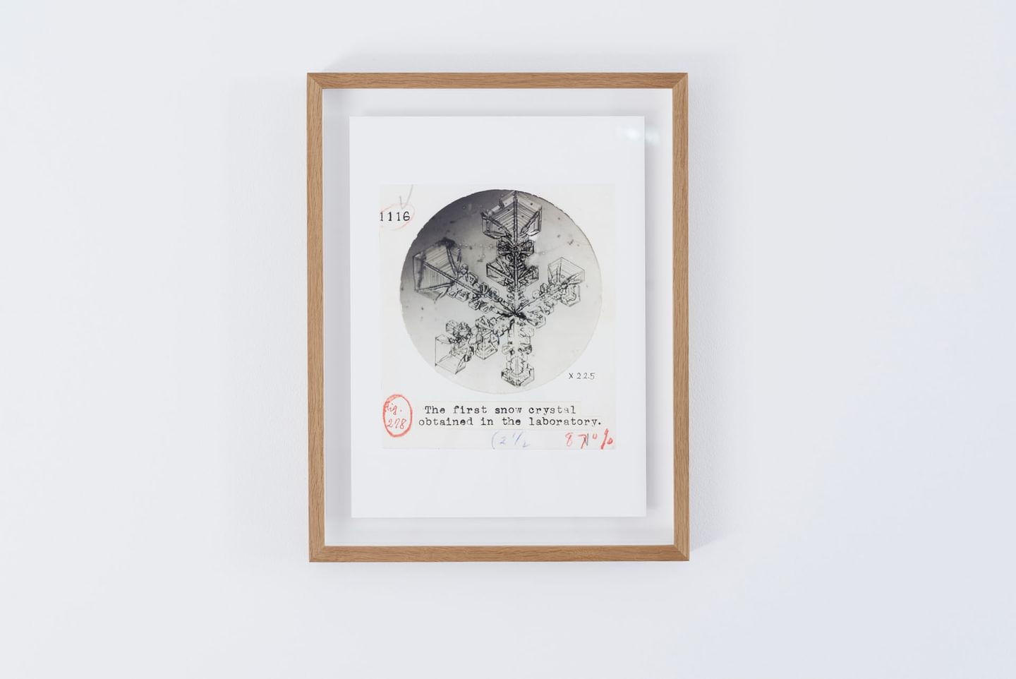 Ukichiro Nakaya, Letters Sent from Heaven, 2017