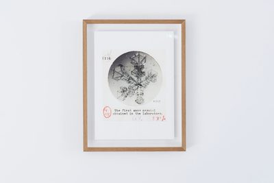 Ukichiro Nakaya, Letters Sent from Heaven, 2017