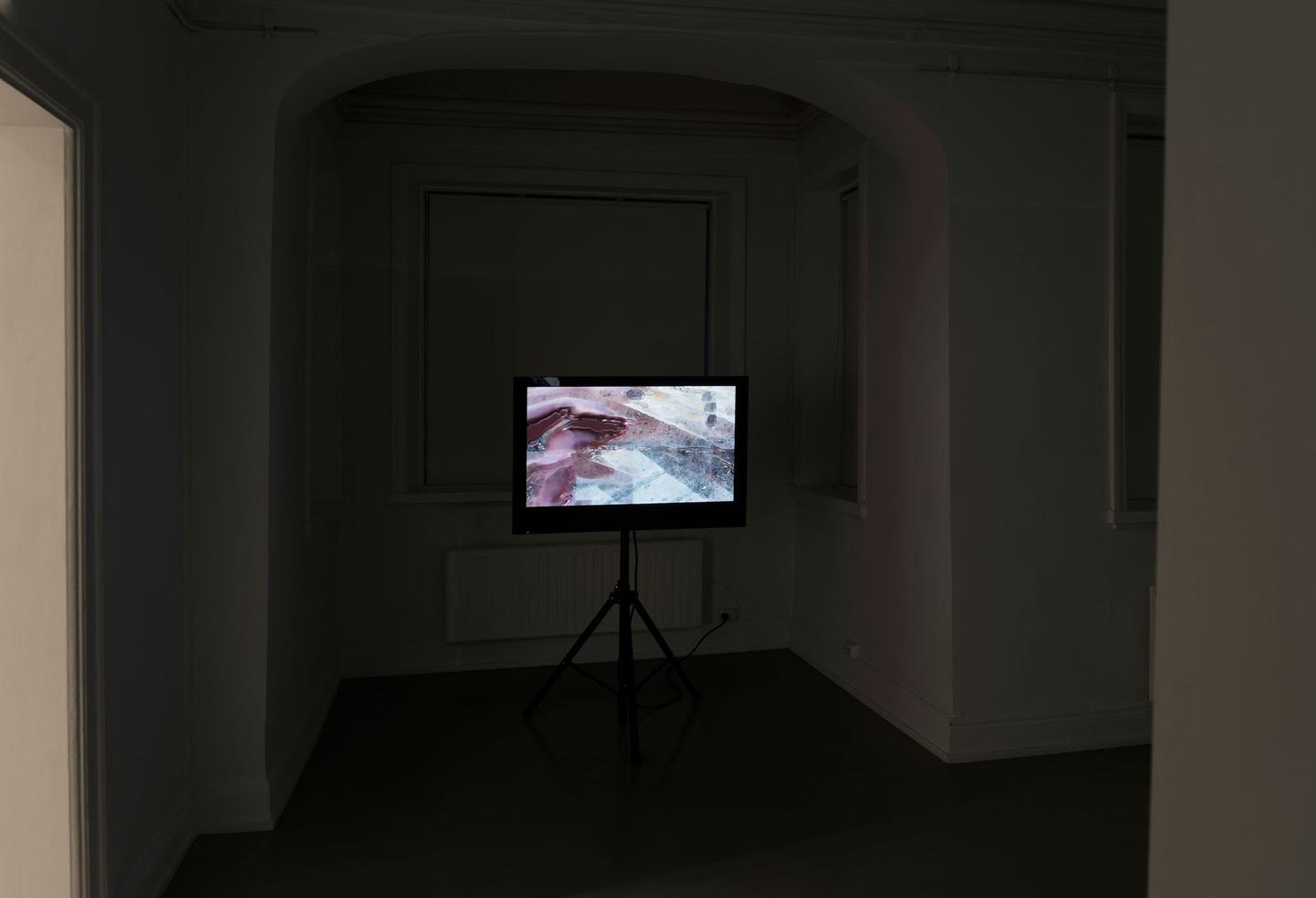 Sandra Mujinga, Real Friends, 2016