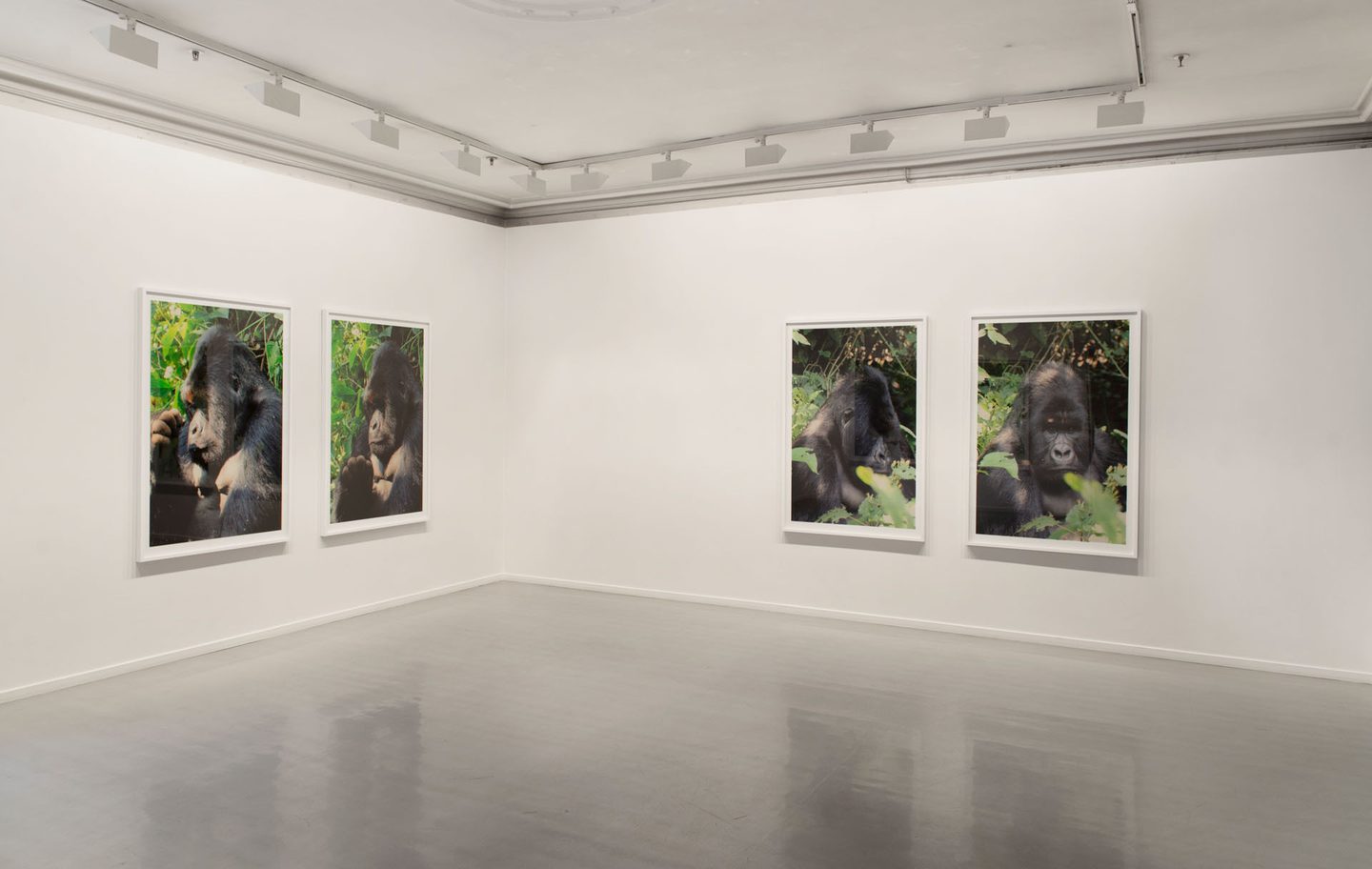 Sandra Mujinga, Real Friends, 2016