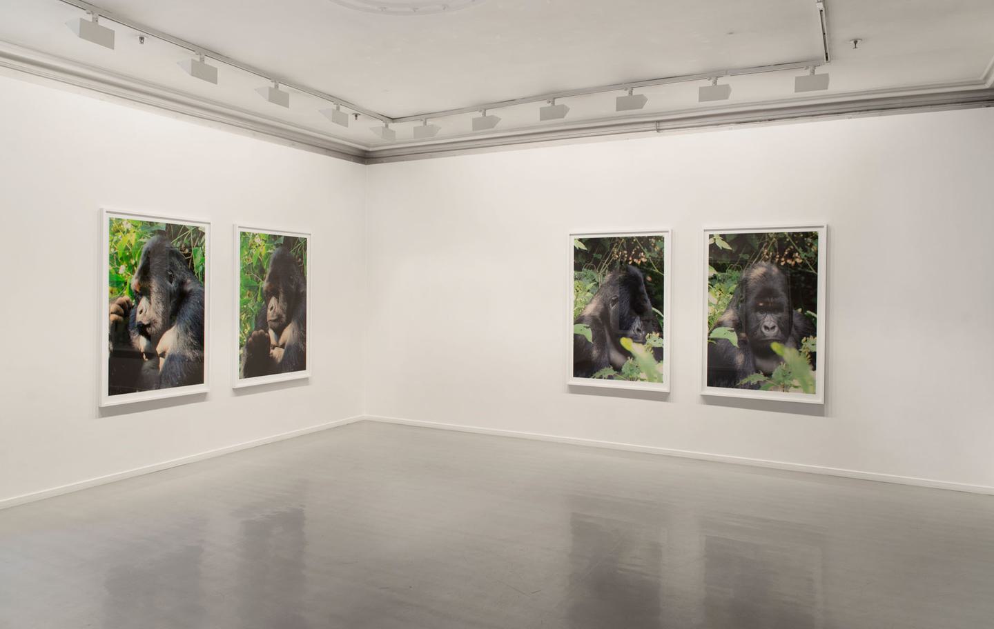 Sandra Mujinga, Real Friends, 2016