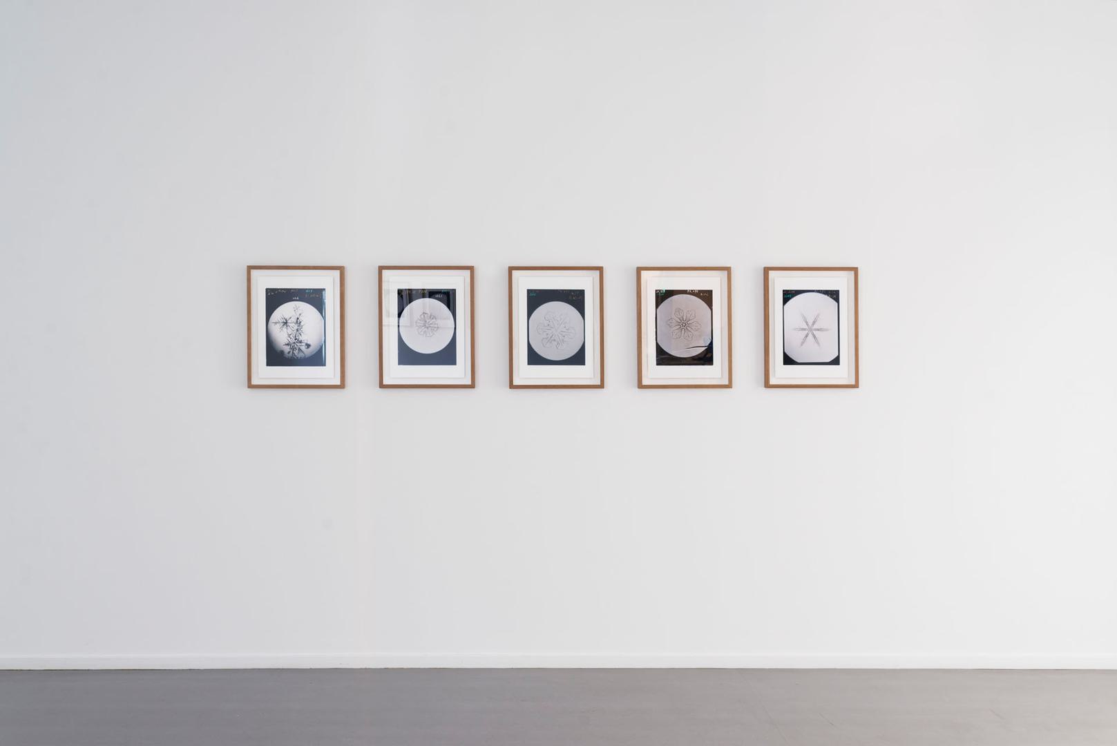 Ukichiro Nakaya, Letters Sent from Heaven, 2017
