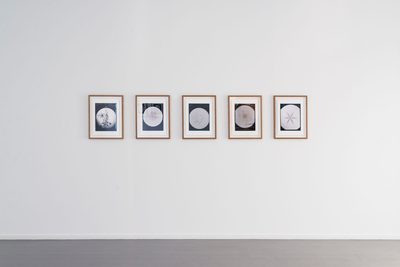 Ukichiro Nakaya, Letters Sent from Heaven, 2017