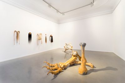 Signe Johannessen, Posthumous Tales, 2023. Foto: Jacky Jaan Yuan Kuo