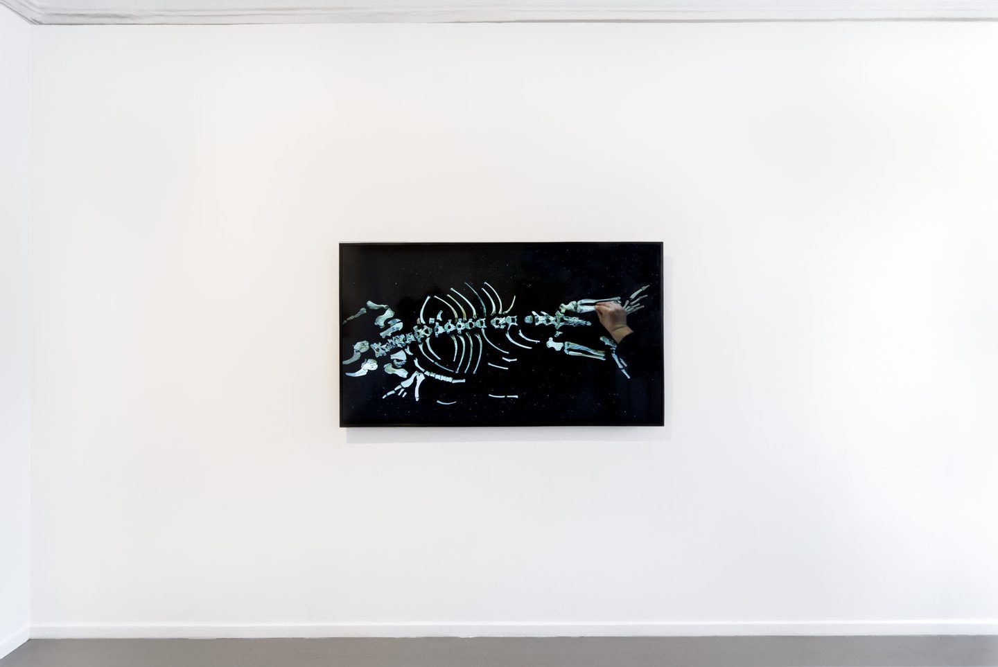 Signe Johannessen, Posthumous Tales, 2023. Foto: Jacky Jaan Yuan Kuo