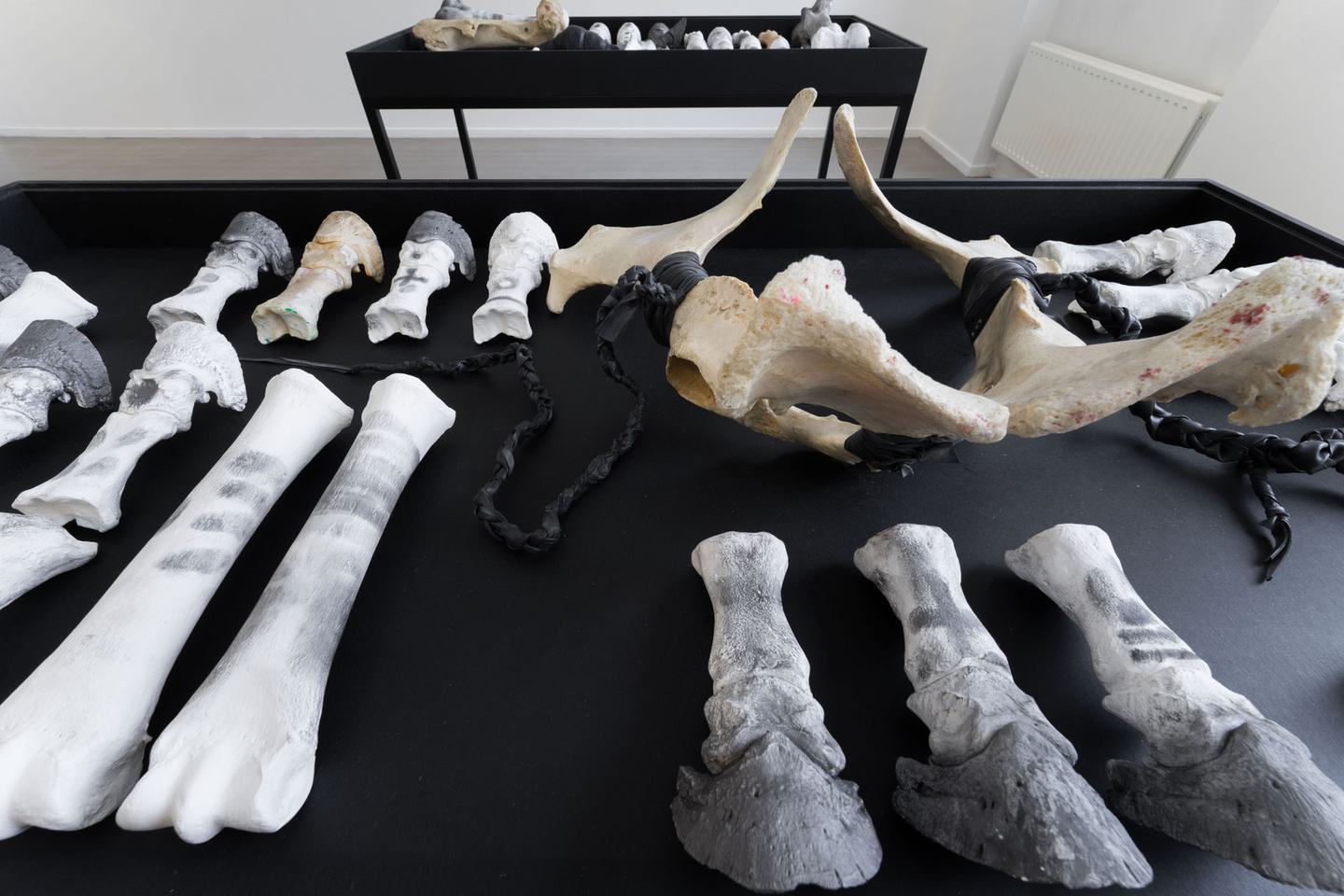 Signe Johannessen, Posthumous Tales, 2023. Photo: Jacky Jaan Yuan Kuo