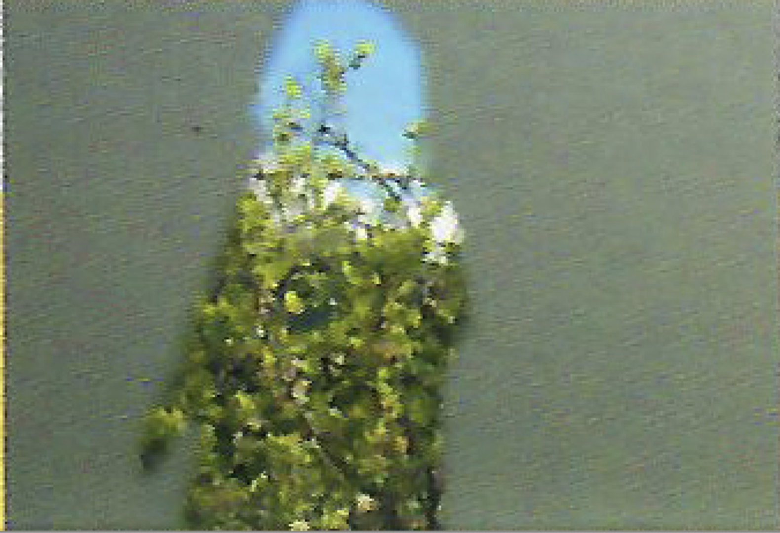 Skjermbilde 2025 07 29 kl 17 28 23