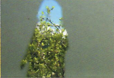 Skjermbilde 2025 07 29 kl 17 28 23
