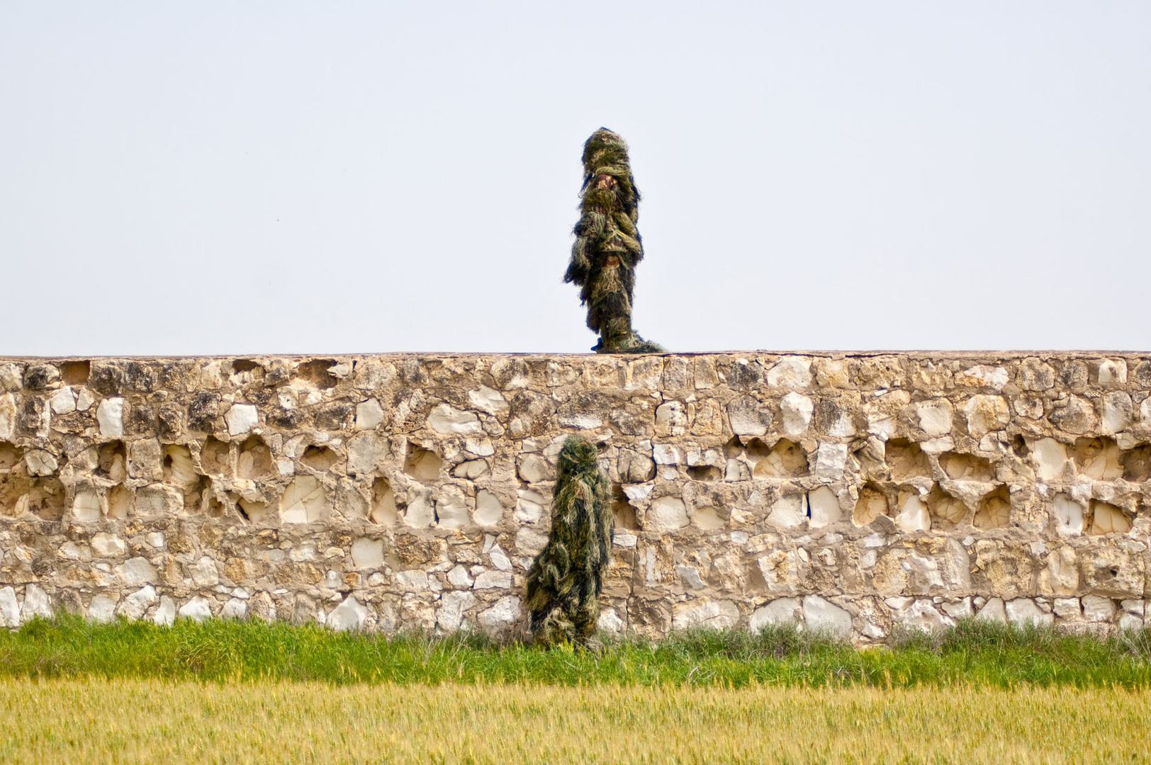 Dafna Shalom, Fearful Days, 2012